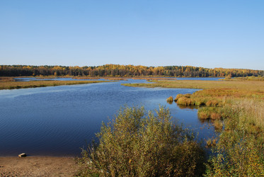 Similar image 21660249