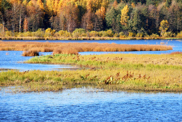 Similar image 21660252