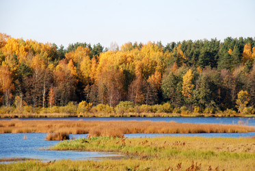 Similar image 21660253