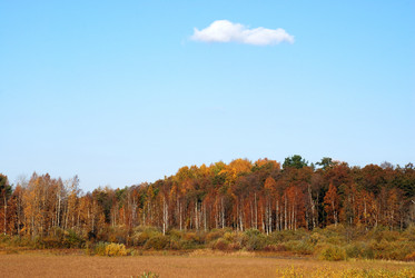 Similar image 21660256