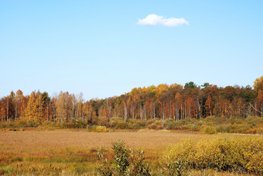 Similar image 21660257