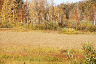 Similar image 21660258