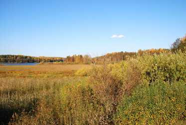 Similar image 21660259