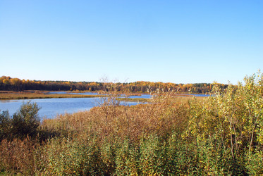 Similar image 21660260