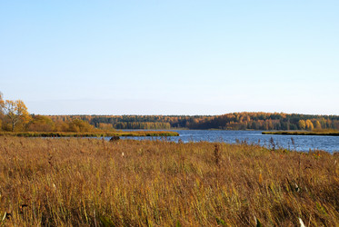 Similar image 21660264