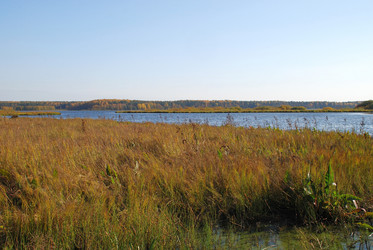 Similar image 21660265