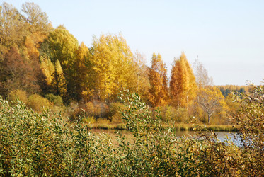 Similar image 21660268