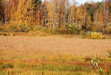 Similar image 21660269