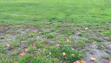 Similar image 21660408