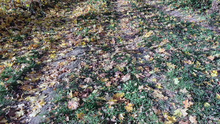 Similar image 21660410