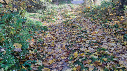 Similar image 21660417