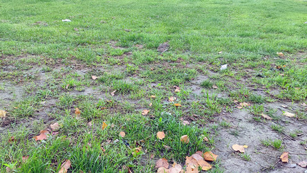 Similar image 21660418