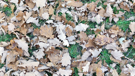 Similar image 21660419