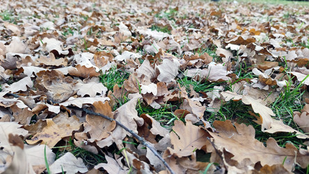 Similar image 21660420