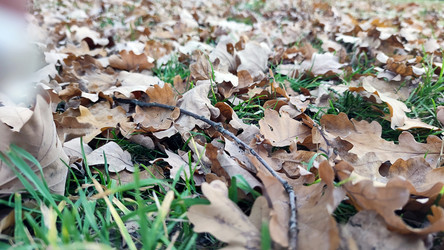 Similar image 21660421