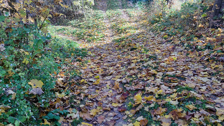 Similar image 21660426