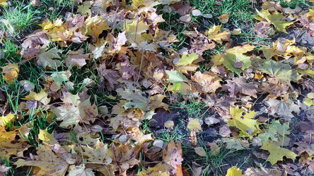 Similar image 21660451