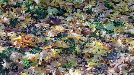 Similar image 21660452