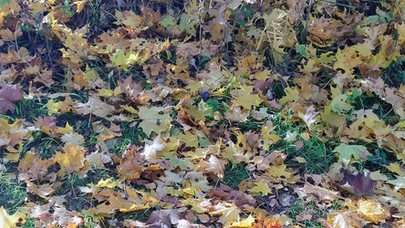 Similar image 21660453