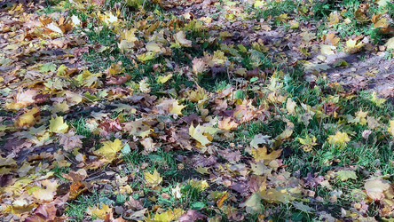 Similar image 21660454