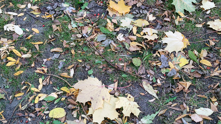 Similar image 21660455