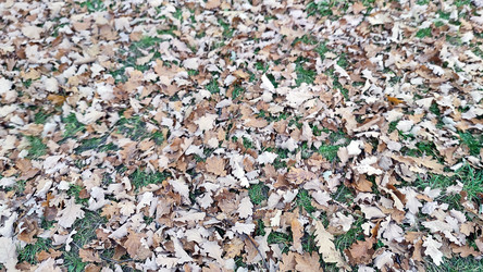 Similar image 21660456