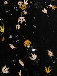 Similar image 21660075