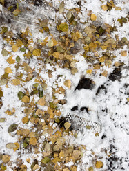 Similar image 21660076