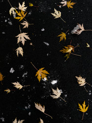 Similar image 21660077