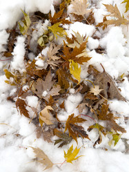 Similar image 21660079