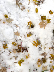 Similar image 21660081