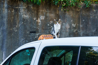 Similar image 21661154