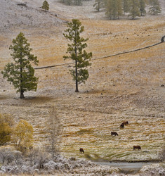 Similar image 21661401