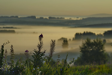 Similar image 21661406