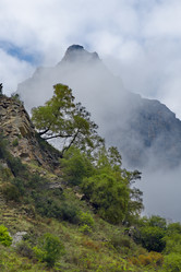 Similar image 21661410