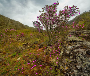 Similar image 21661419