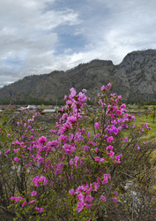 Similar image 21661423