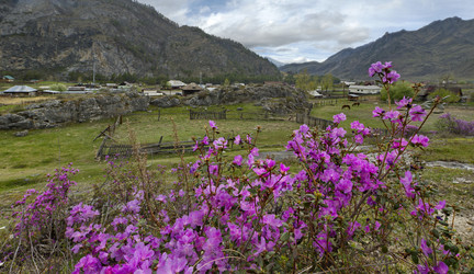 Similar image 21661427