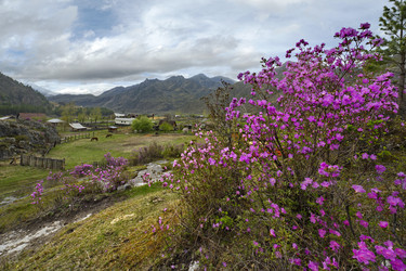 Similar image 21661429