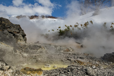 Similar image 21661780