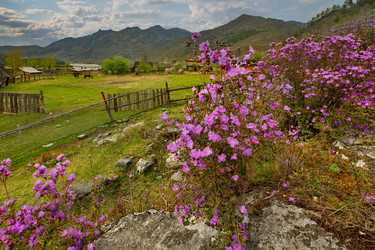 Similar image 21661781