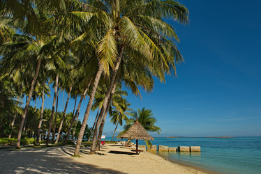 Similar image 21661782