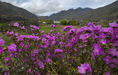 Similar image 21661783