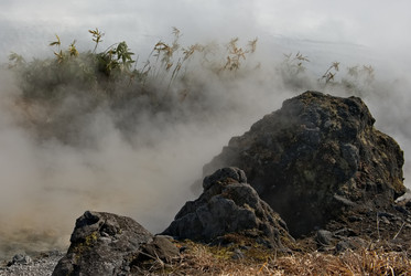 Similar image 21661786