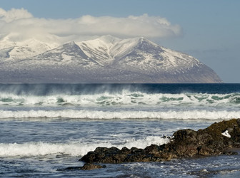 Similar image 21661436