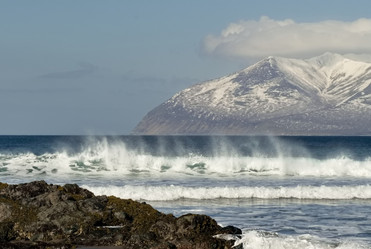 Similar image 21661438