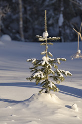 Similar image 21661440