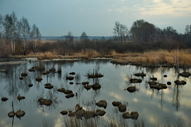 Similar image 21661442