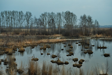 Similar image 21661443