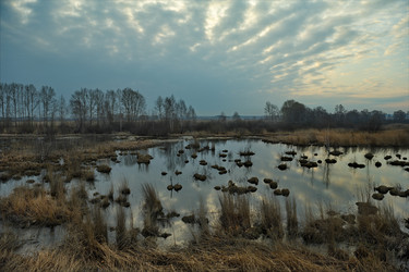 Similar image 21661444